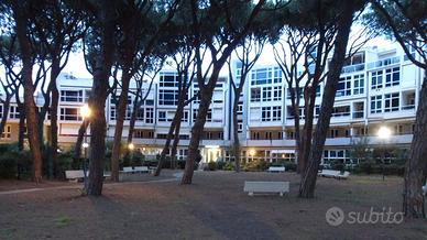 Bilocale Via del Giglio nr.37 Marina di Grosseto