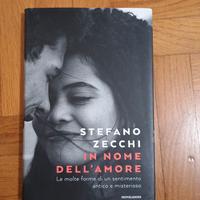 In nome dell' amore di Zecchi