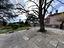 Immagine 14