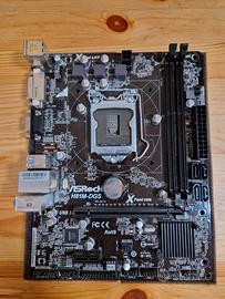 Scheda Madre ASRock H81M-DGS Intel LGA 1150 DDR3