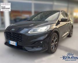 FORD Kuga 1.5 EcoBlue 120 CV 2WD ST-Line X