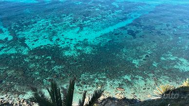 Casa vacanze vicino Tropea