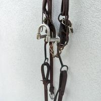 Morso, testiera e redini da equitazione