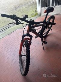 Bicicletta per ragazzo