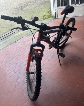 Bicicletta per ragazzo