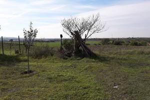 Terreno di 22600 m² a Tuscania