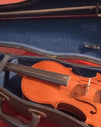 violino