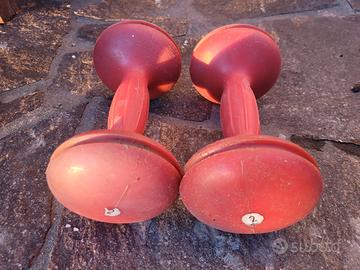 pesi da 2kg