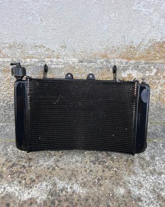 Radiatore ktm duke 790/890