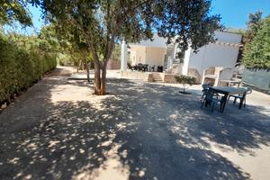 Villa Anna 30 mt mare 8 posti Campomarino