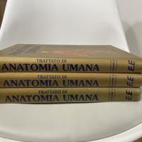 Trattato di anatomia umana edizione edi-ermes