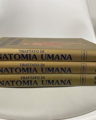 Trattato di anatomia umana edizione edi-ermes