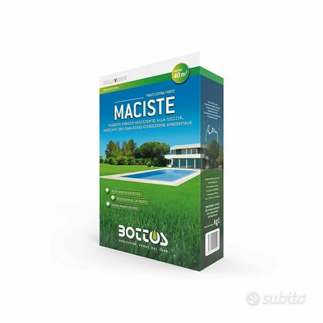 Zollaverde maciste 1kg semente semenza erba dose