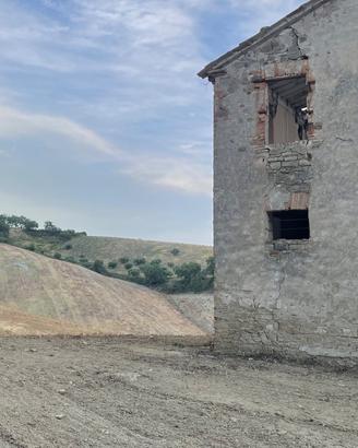 Rustico con bosco