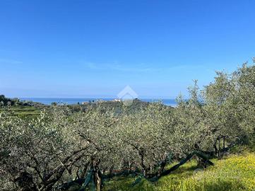 TER. AGRICOLO A LAVAGNA