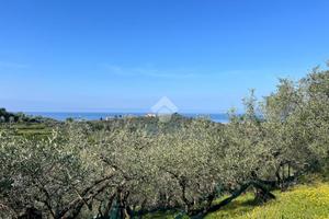 TER. AGRICOLO A LAVAGNA