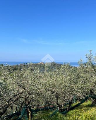 TER. AGRICOLO A LAVAGNA