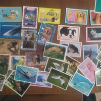 LOTTO 50 CARTE AMICI CUCCIOLOTTI VARIE