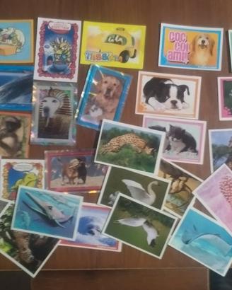 LOTTO 50 CARTE AMICI CUCCIOLOTTI VARIE