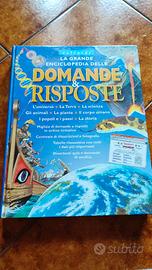 La grande Enciclopedia delle domande & risposte