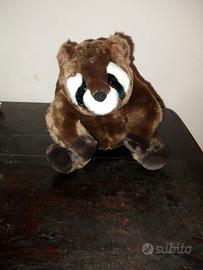 Peluche Procione 24 cm
