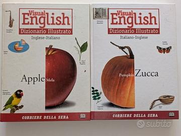 DIZIONARIO ILLUSTRATO VISUAL ENGLISH