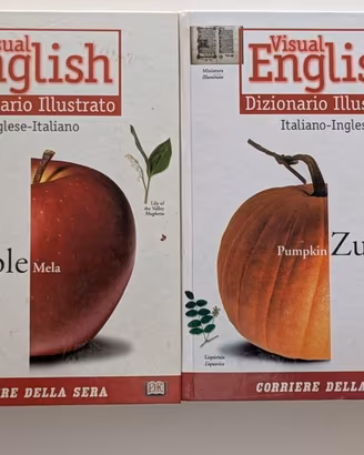 DIZIONARIO ILLUSTRATO VISUAL ENGLISH