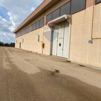 Capannone Industriale - Tuglie