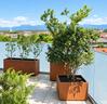 fioriere-vasi-in-corten-verniciati