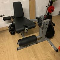 Leg extension / Leg curl seduto