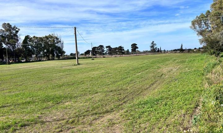 Terreno seminativo in Frigole