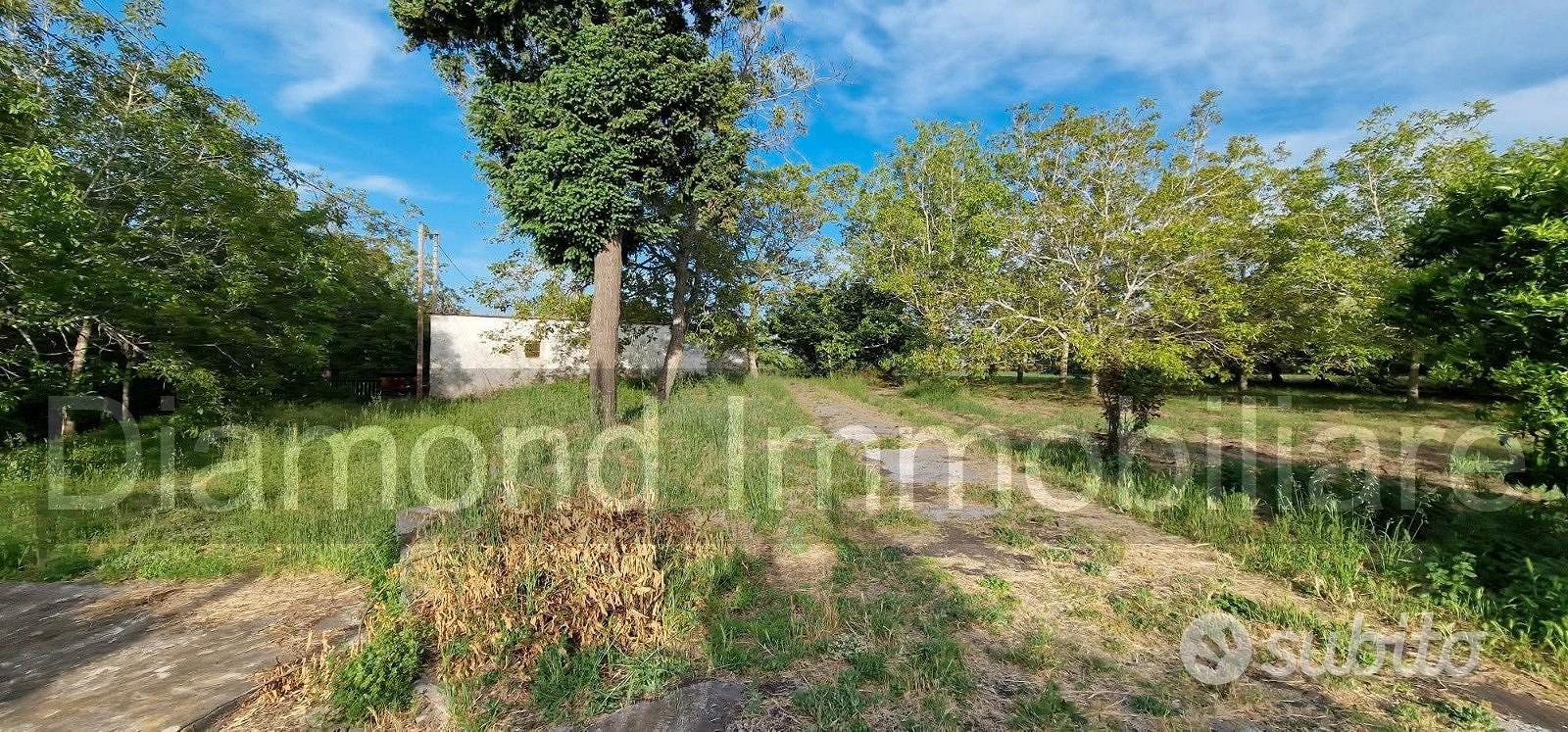 Fabbricati con terreno a Piedimonte Etneo - Vista 3