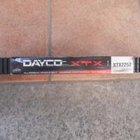 Cinghia variatore quad Polaris RZR 1000 e 900