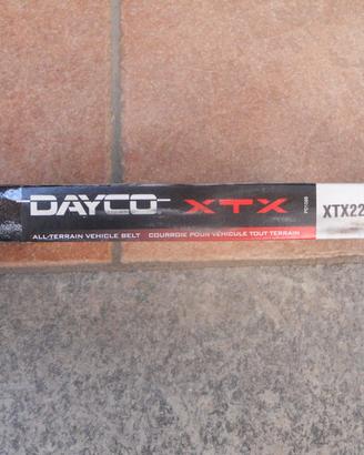 Cinghia variatore quad Polaris RZR 1000 e 900