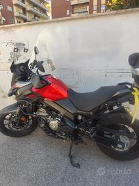 moto suzuki