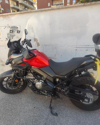 moto suzuki