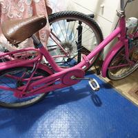 bicicletta pieghevole 