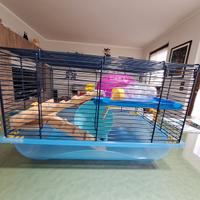 Gabbietta per criceti Imac