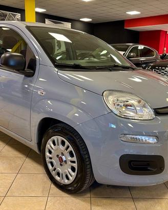 FIAT Panda 1.0 FireFly S&S Hybrid NO OBBLIGO FIN