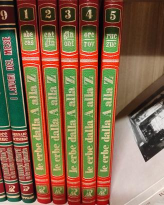 enciclopedia delle erbe 