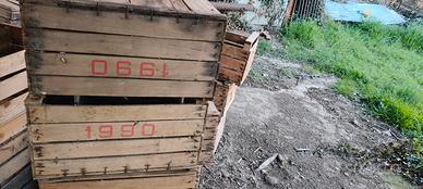 Cassette in legno usate