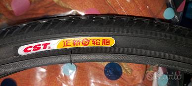 Copertone bici carrozzina disabile