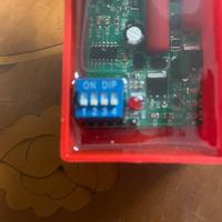 centralina pitbike regolabile