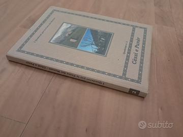 NUOVO -- CESSI E PUNER latrine e pollai in Veneto