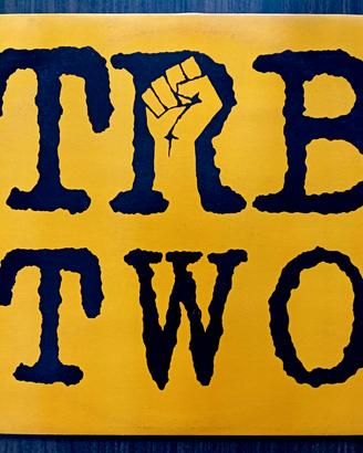Tom Robinson Band: TRB two (LP, 1979)
