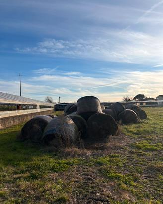 Rotoballe di fieno