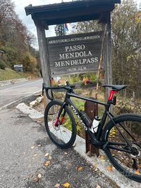 Colnago V4Rs UAE Team Edition- Shimano Ultegra