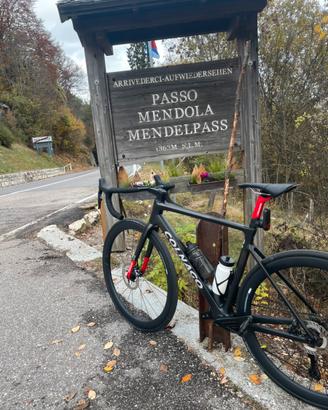 Colnago V4Rs UAE Team Edition- Shimano Ultegra