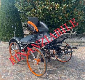 Carrozza per cavalli marathon susanna 220kg