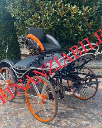 Carrozza per cavalli marathon susanna 220kg